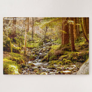 Glendalough Wicklow Irland Puzzle