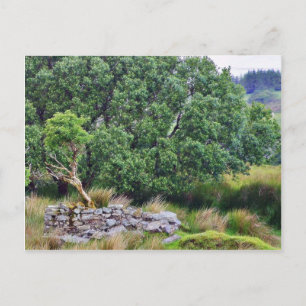 Glengesh Pass in Irland Landschaft Postkarte