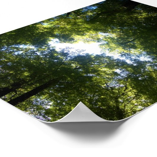 Glenorchy, NZ Poster (Ecke)