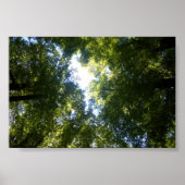 Glenorchy, NZ Poster (Vorne)