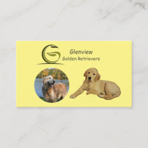 Glenview Golden Retrievers Visitenkarte