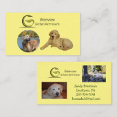 Glenview Golden Retrievers Visitenkarte (Vorne/Hinten)