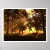 Glenwood Poster (Vorne)