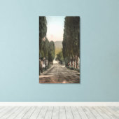 Glenwood Springs, Colorado Leinwanddruck (Insitu (Holzboden))