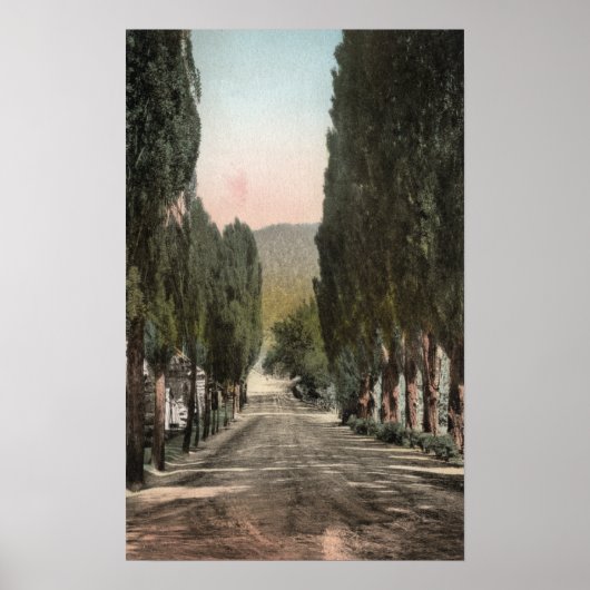 Glenwood Springs, Colorado Poster (Vorne)