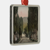 Glenwood Springs, Colorado Silbernes Ornament (Rechts)