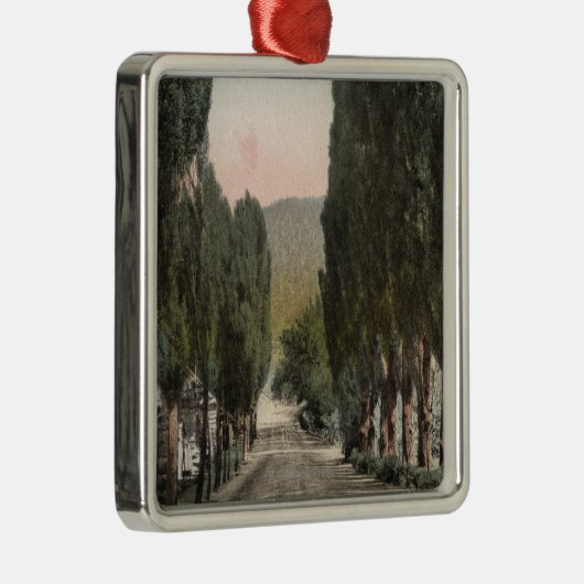 Glenwood Springs, Colorado Silbernes Ornament (Rechts)