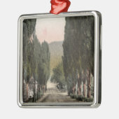 Glenwood Springs, Colorado Silbernes Ornament (Links)