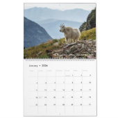 Gletscher-Nationalpark-Kalender Kalender (Jan 2026)