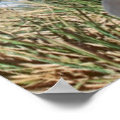 Gletscher und Segelyacht im Hintergrund Poster (Ecke)