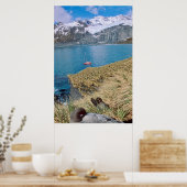 Gletscher und Segelyacht im Hintergrund Poster (Küche)