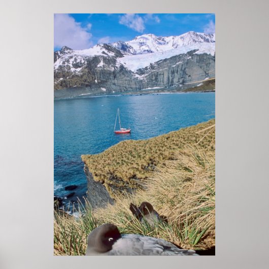 Gletscher und Segelyacht im Hintergrund Poster (Vorne)
