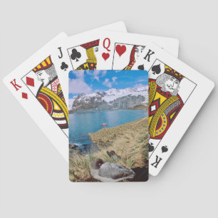 Gletscher und Segelyacht im Hintergrund Spielkarten