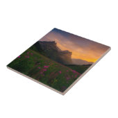 Gletscher-Wildblumen Fliese (Seite)