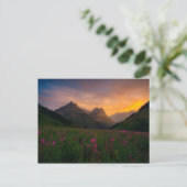 Gletscher-Wildblumen Postkarte (Stehend Vorderseite)