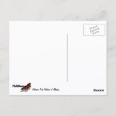 Gletschergewässer von Alaska Gefüttert Postkarte (Rückseite)