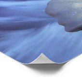 Gletschermage Poster (Ecke)