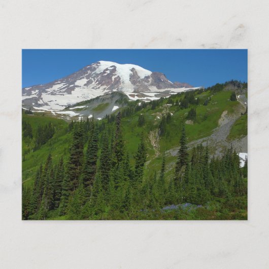Gletschermelt auf dem Rainier Postkarte (Vorderseite)