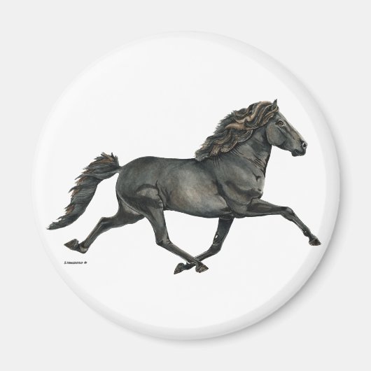 Gletta Magnet (Vorne)