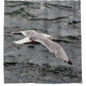 GLIDE SHOWER CURTAIN DUSCHVORHANG (Vorderseite)