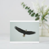 Gliding Glatze Postkarte (Stehend Vorderseite)