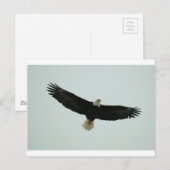 Gliding Glatze Postkarte (Vorne/Hinten)