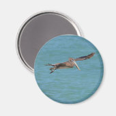 Gliding Pelican Magnet (Vorderseite/Rückseite)