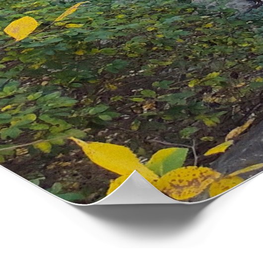 Gliding Reflections Poster (Ecke)