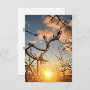 Gliedmaße Einladung