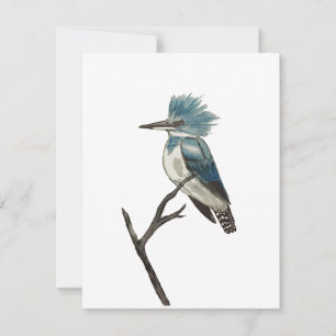 Gliedmaße Kingfisher-Note-Karte Mitteilungskarte