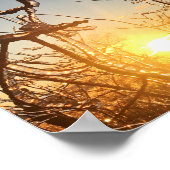 Gliedmaße Poster (Ecke)