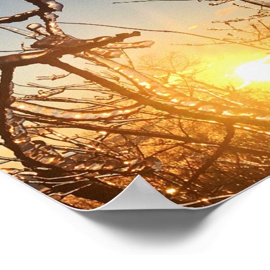 Gliedmaße Poster (Ecke)