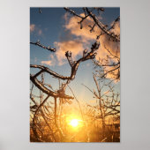 Gliedmaße Poster (Vorne)