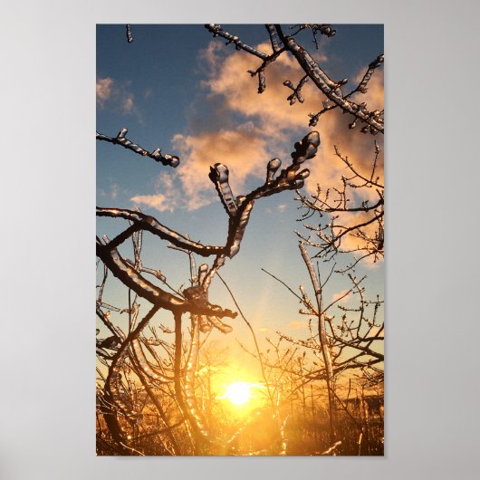 Gliedmaße Poster (Vorne)