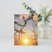 Gliedmaße Postkarte (Stehend Vorderseite)