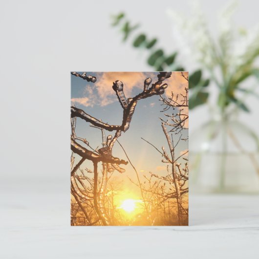 Gliedmaße Postkarte (Stehend Vorderseite)