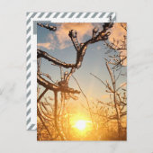 Gliedmaße Postkarte (Vorne/Hinten)