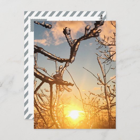 Gliedmaße Postkarte (Vorne/Hinten)