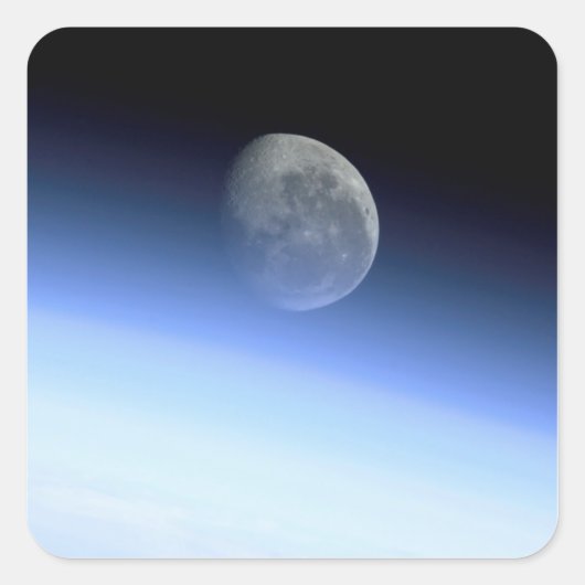 Gliedmaße Quadratischer Aufkleber (Vorderseite)