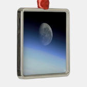 Gliedmaße Silbernes Ornament (Rechts)