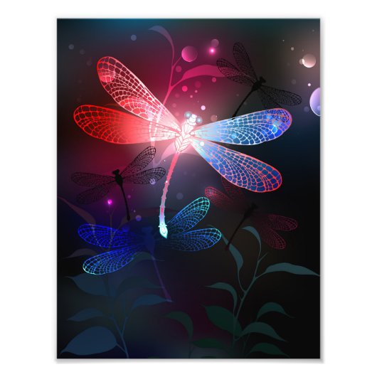 Glimmerne Rote Libelle Fotodruck (Vorne)