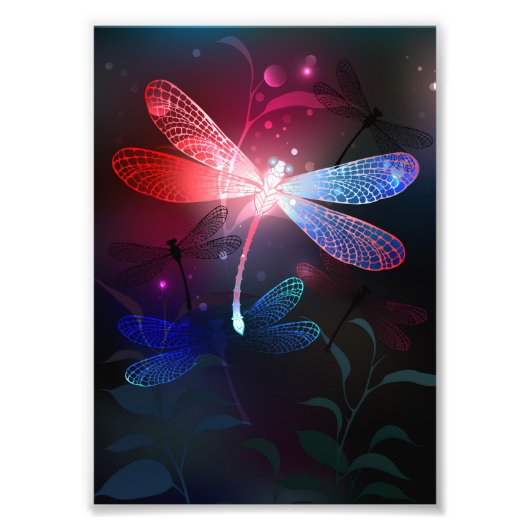 Glimmerne Rote Libelle Fotodruck (Vorne)