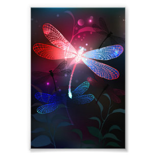 Glimmerne Rote Libelle Fotodruck