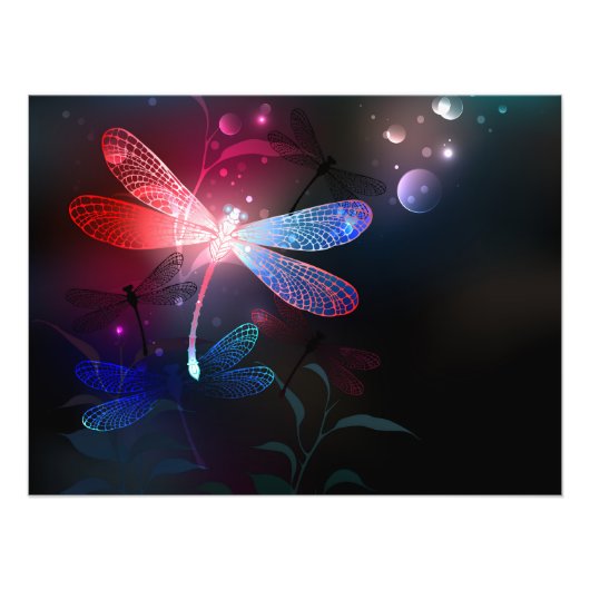Glimmerne Rote Libelle Fotodruck (Vorne)