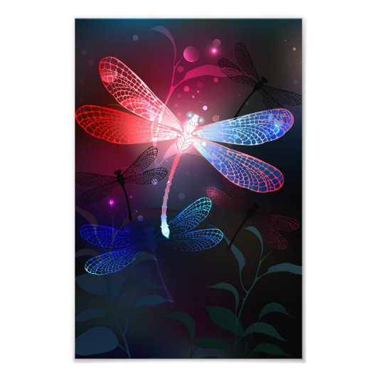 Glimmerne Rote Libelle Fotodruck (Vorne)