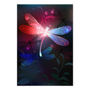 Glimmerne Rote Libelle Fotodruck