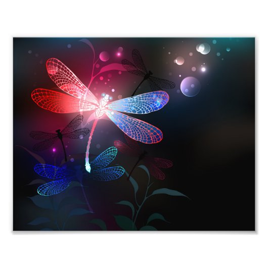 Glimmerne Rote Libelle Fotodruck (Vorne)