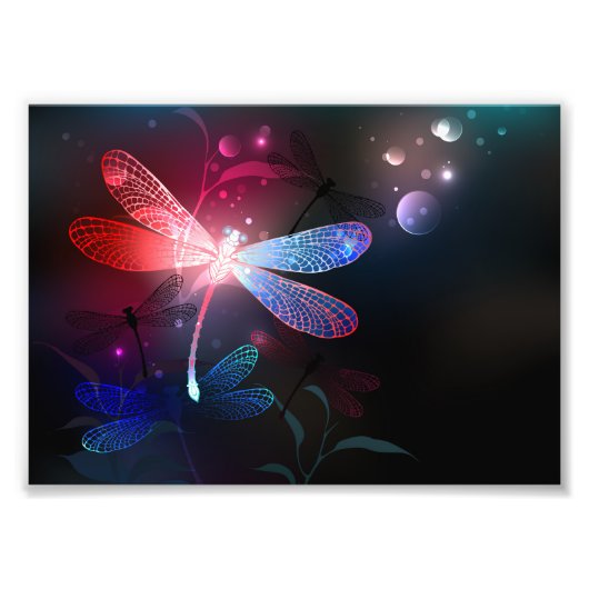 Glimmerne Rote Libelle Fotodruck (Vorne)