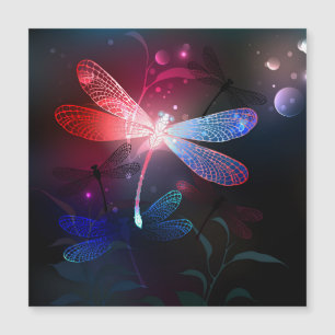 Glimmerne Rote Libelle Magneteinladung