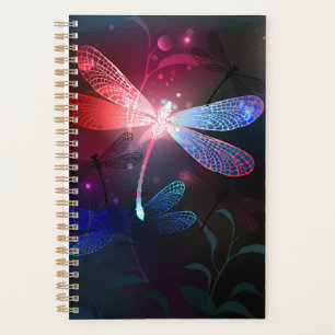 Glimmerne Rote Libelle Planer
